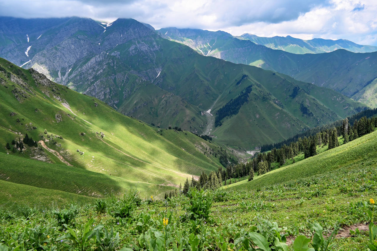 Перевал Макмал, image of landscape/habitat.