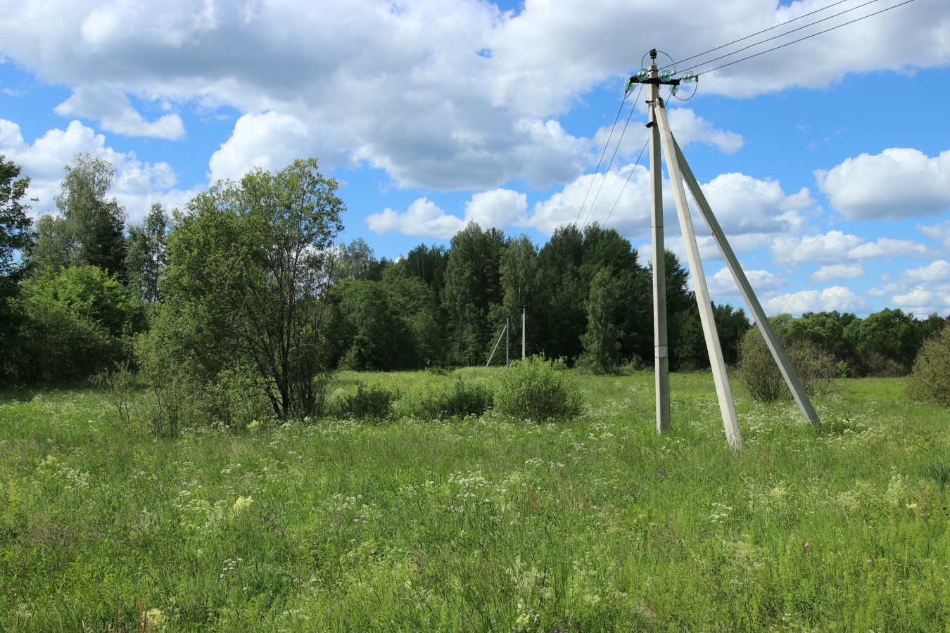 Луга у Кемки, изображение ландшафта.