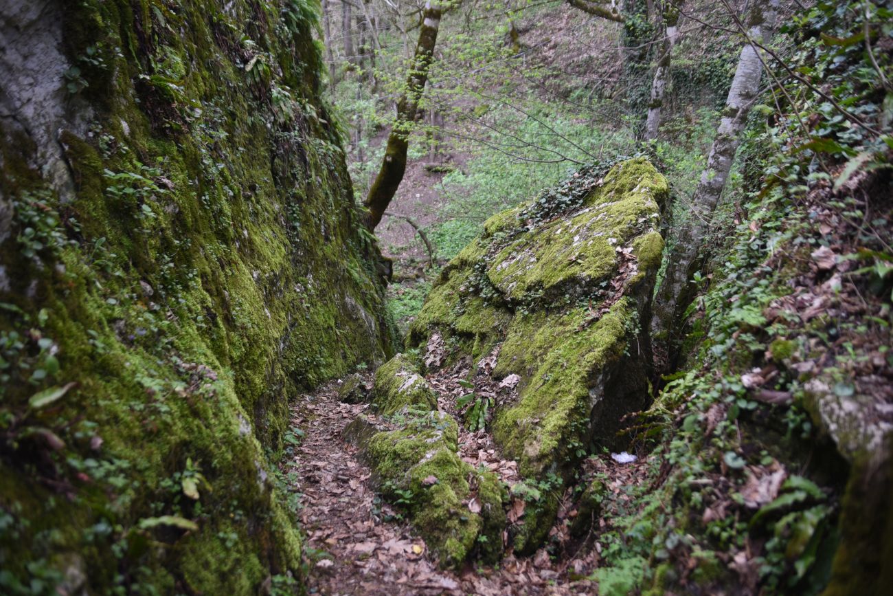 Огромные Глыбы, image of landscape/habitat.