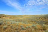 Image of landscape
