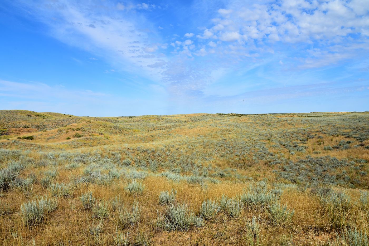 Бархан Большой Брат, image of landscape/habitat.