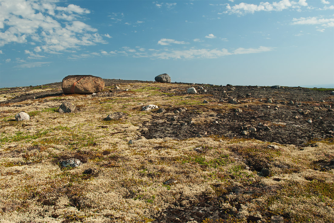 Окрестности Мурманска, image of landscape/habitat.