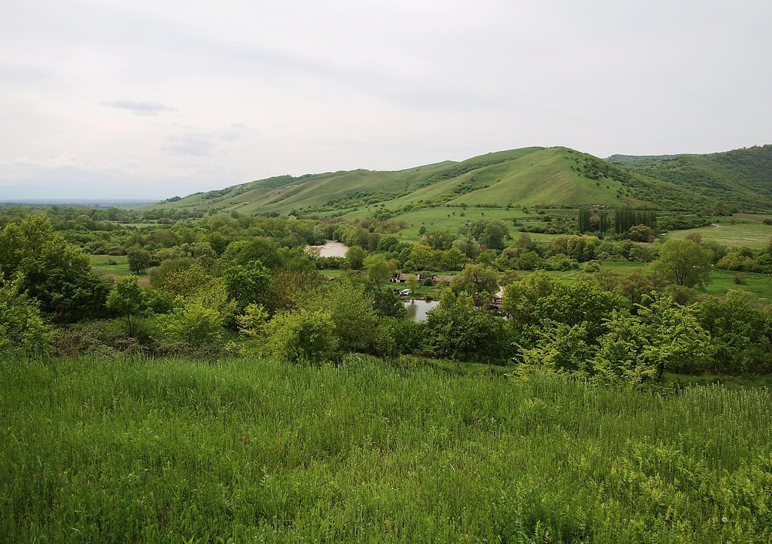 Север Осетинской равнины, изображение ландшафта.