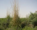 Image of landscape