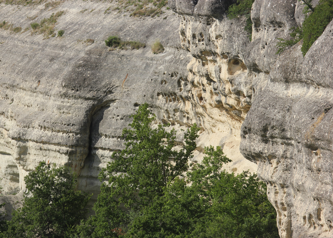 Белокаменное, image of landscape/habitat.