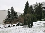 Image of landscape
