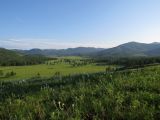 Image of landscape