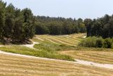 Лес Бен-Шемен, image of landscape/habitat.