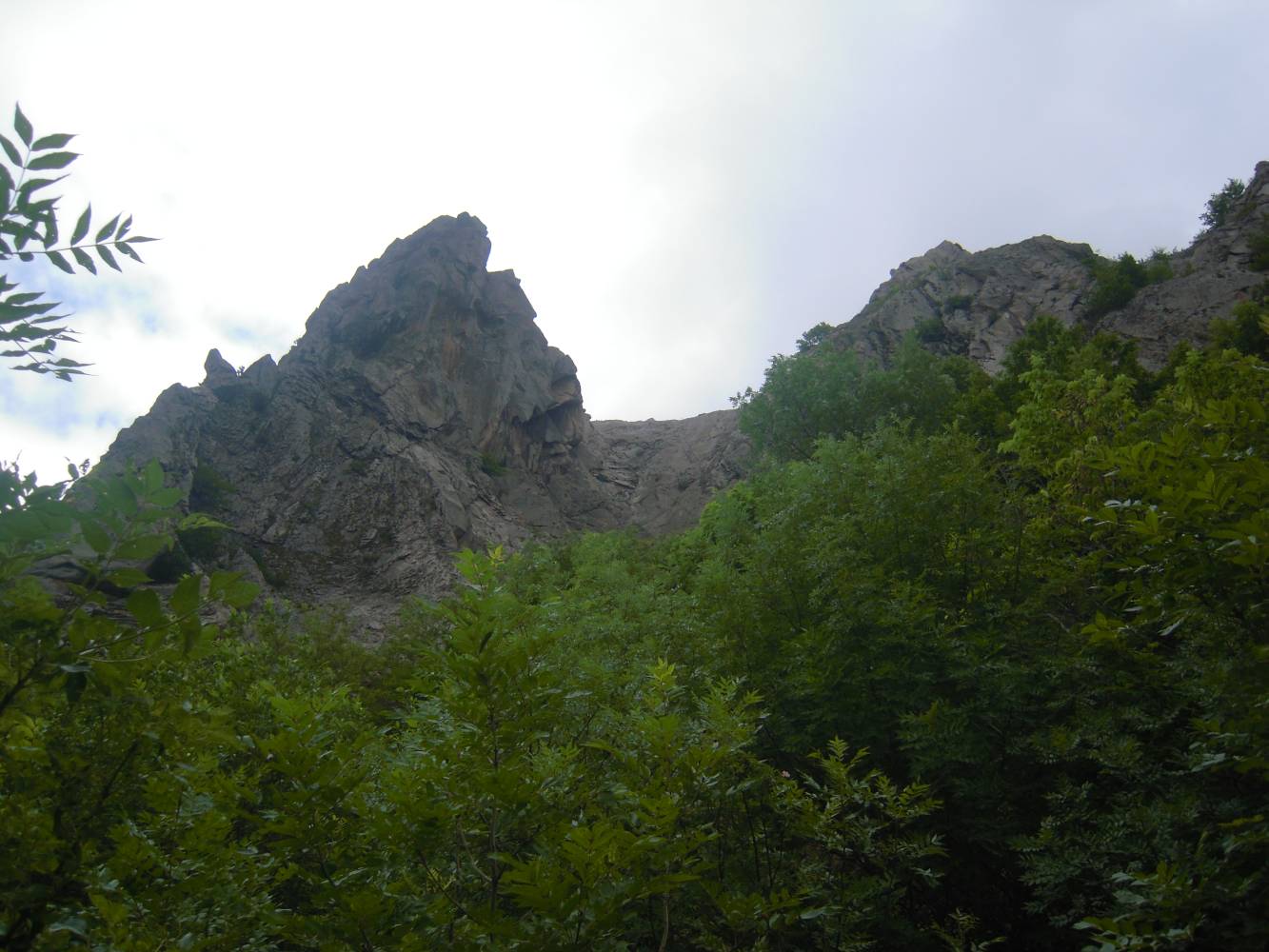 Гора Змейка, image of landscape/habitat.