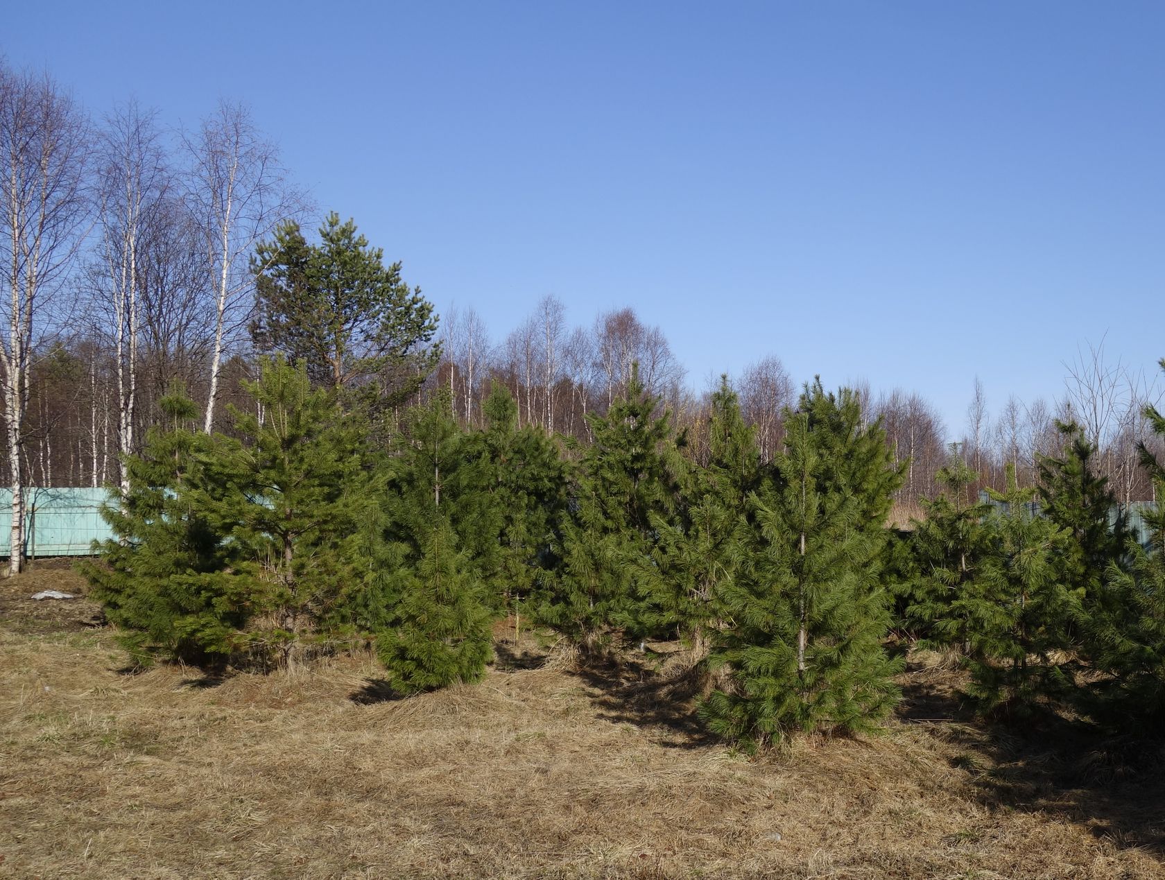 Омулёвый, image of landscape/habitat.