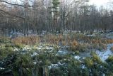 Image of landscape