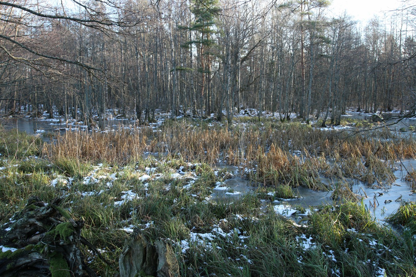 Каравалдай, image of landscape/habitat.