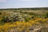 Image of landscape