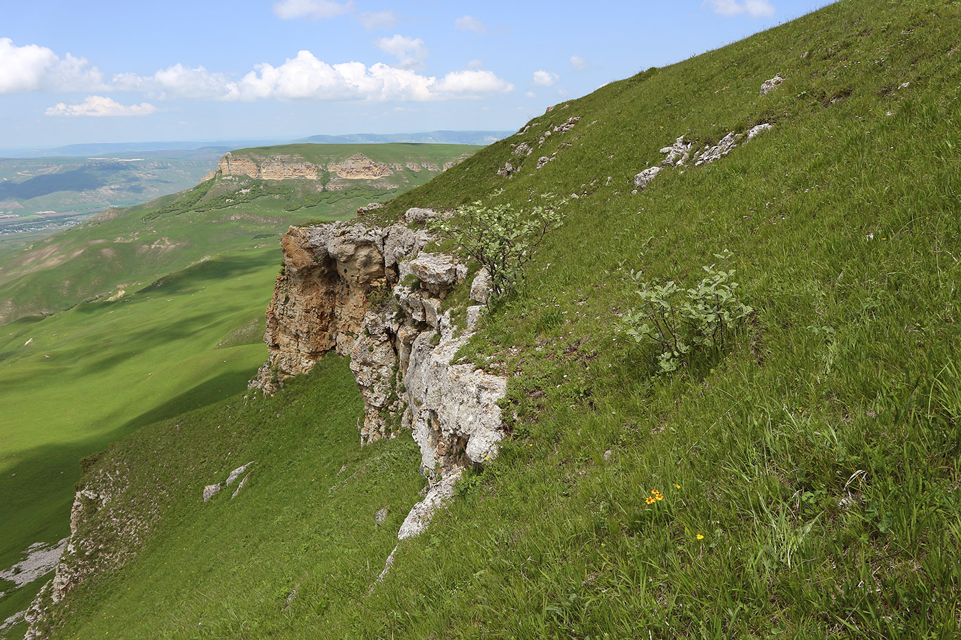 Джангур, image of landscape/habitat.