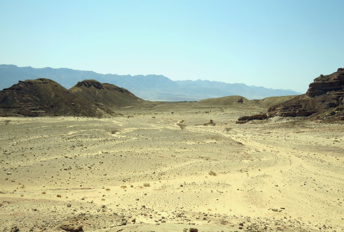 Эмек Арава, image of landscape/habitat.