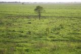 Пойма р. Ока у г. Серпухов, image of landscape/habitat.
