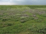 Схирмонниког (Schiermonnikoog), изображение ландшафта.