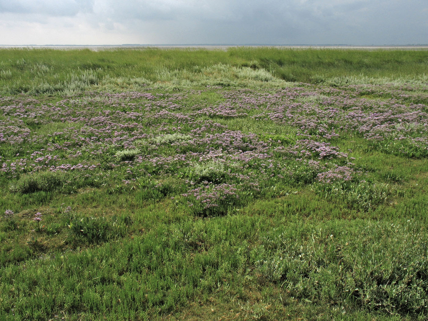 Схирмонниког (Schiermonnikoog), изображение ландшафта.