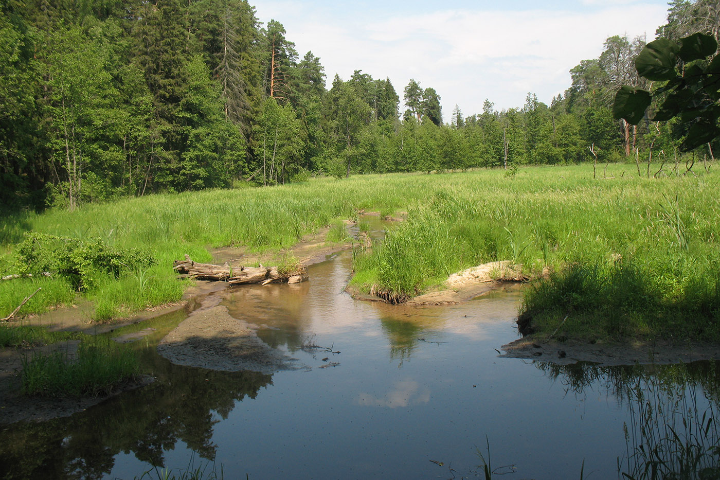 Приокско-Террасный заповедник, image of landscape/habitat.