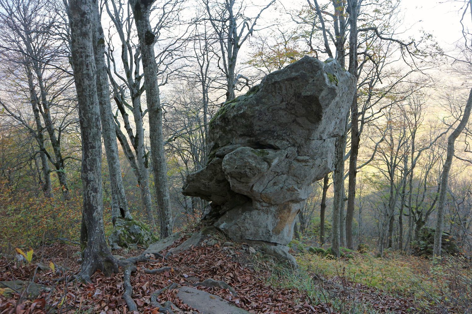 Гора Индюк, image of landscape/habitat.