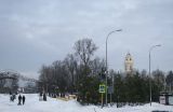 Лосино-Петровский и окрестности, image of landscape/habitat.