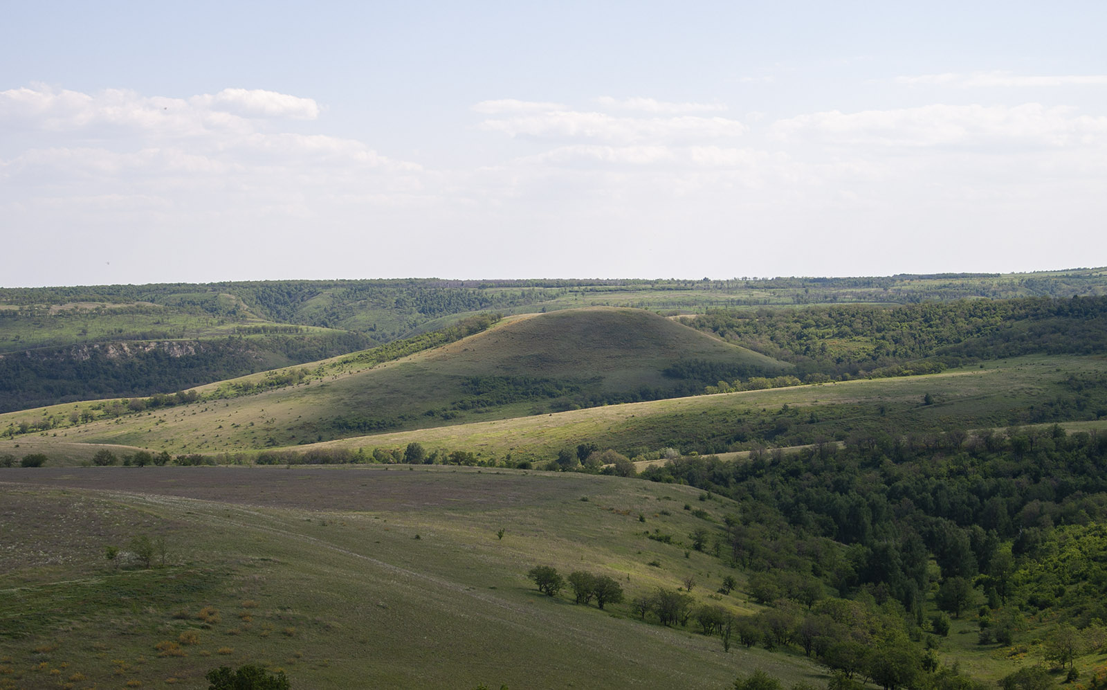 Балка Щербаковская, изображение ландшафта.