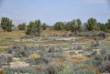 Image of landscape