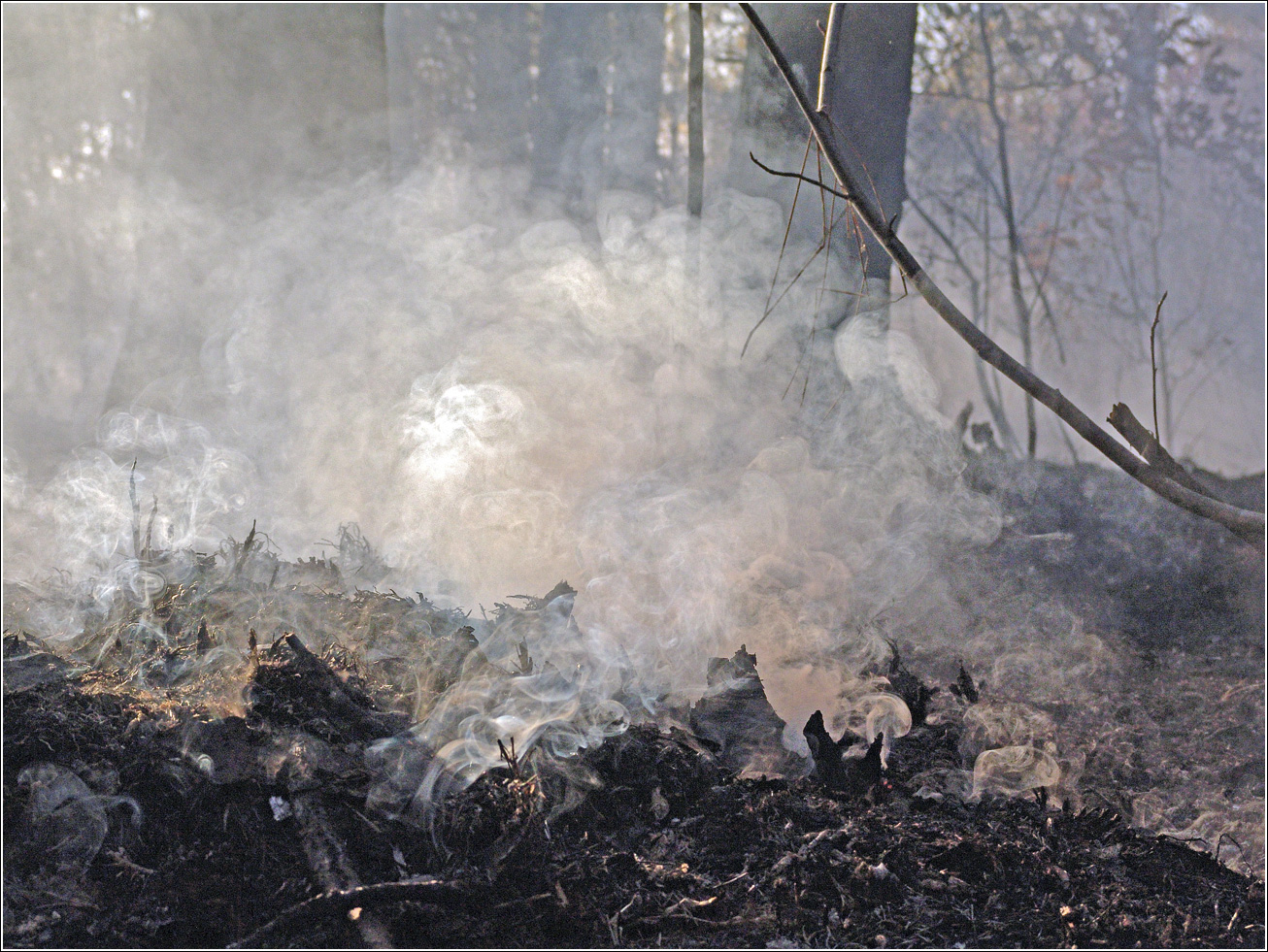 Окрестности Хрипани, image of landscape/habitat.