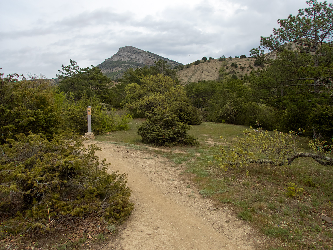 Хребет Токлук-Сырт, image of landscape/habitat.