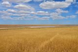 Image of landscape