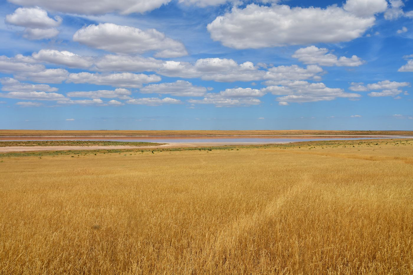 Бархан Большой Брат, image of landscape/habitat.