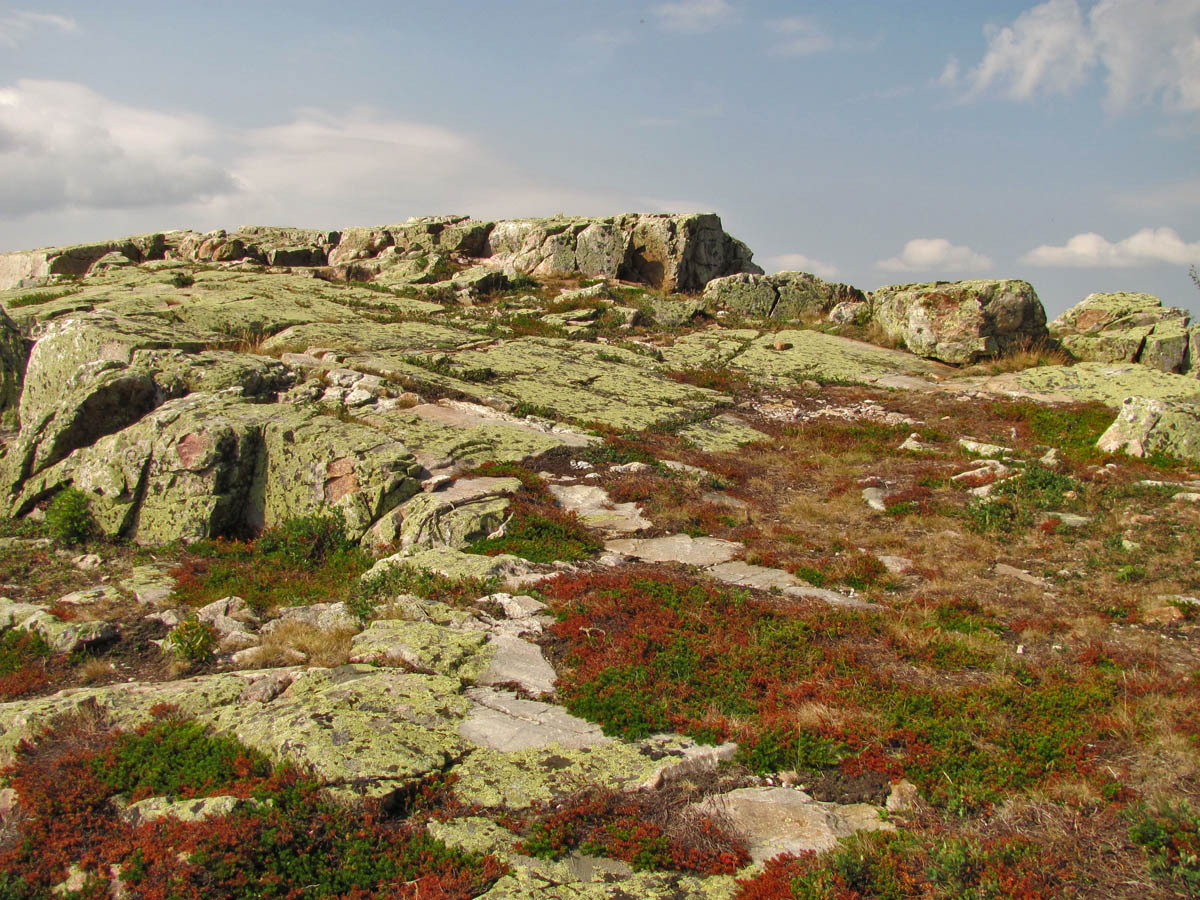 Национальный парк "Таганай", изображение ландшафта.