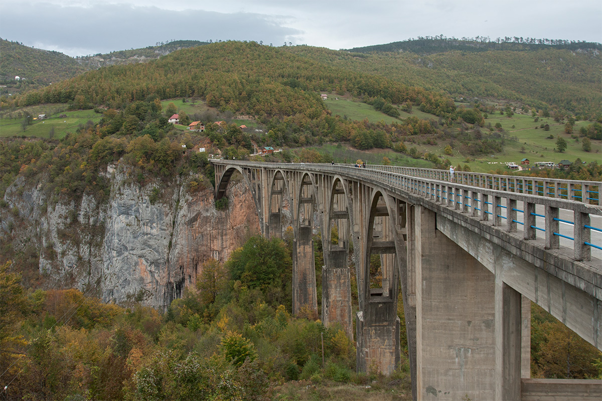 Окрестности моста Джурджевича, изображение ландшафта.