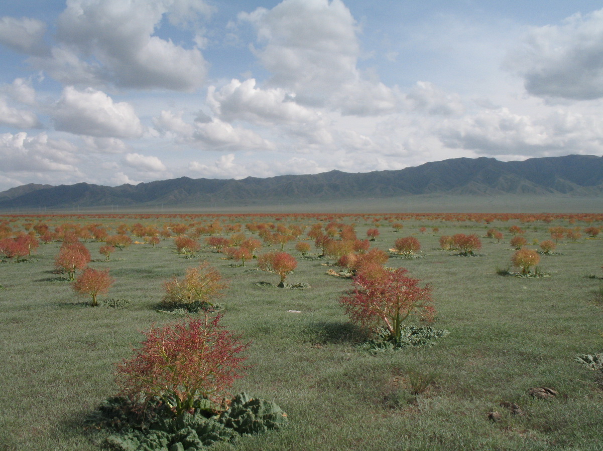 Сюгатинская долина, image of landscape/habitat.