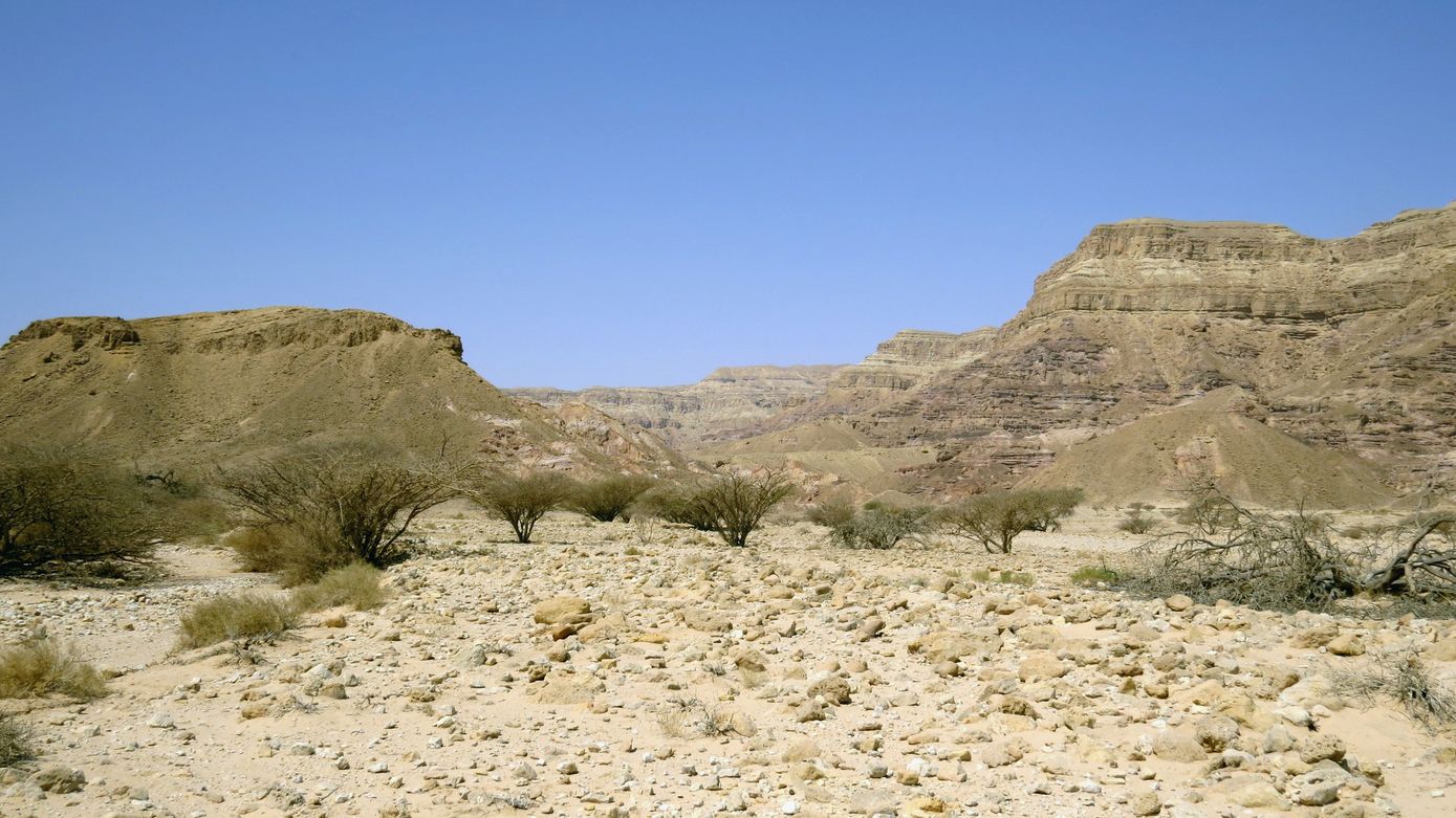 Эмек Арава, image of landscape/habitat.