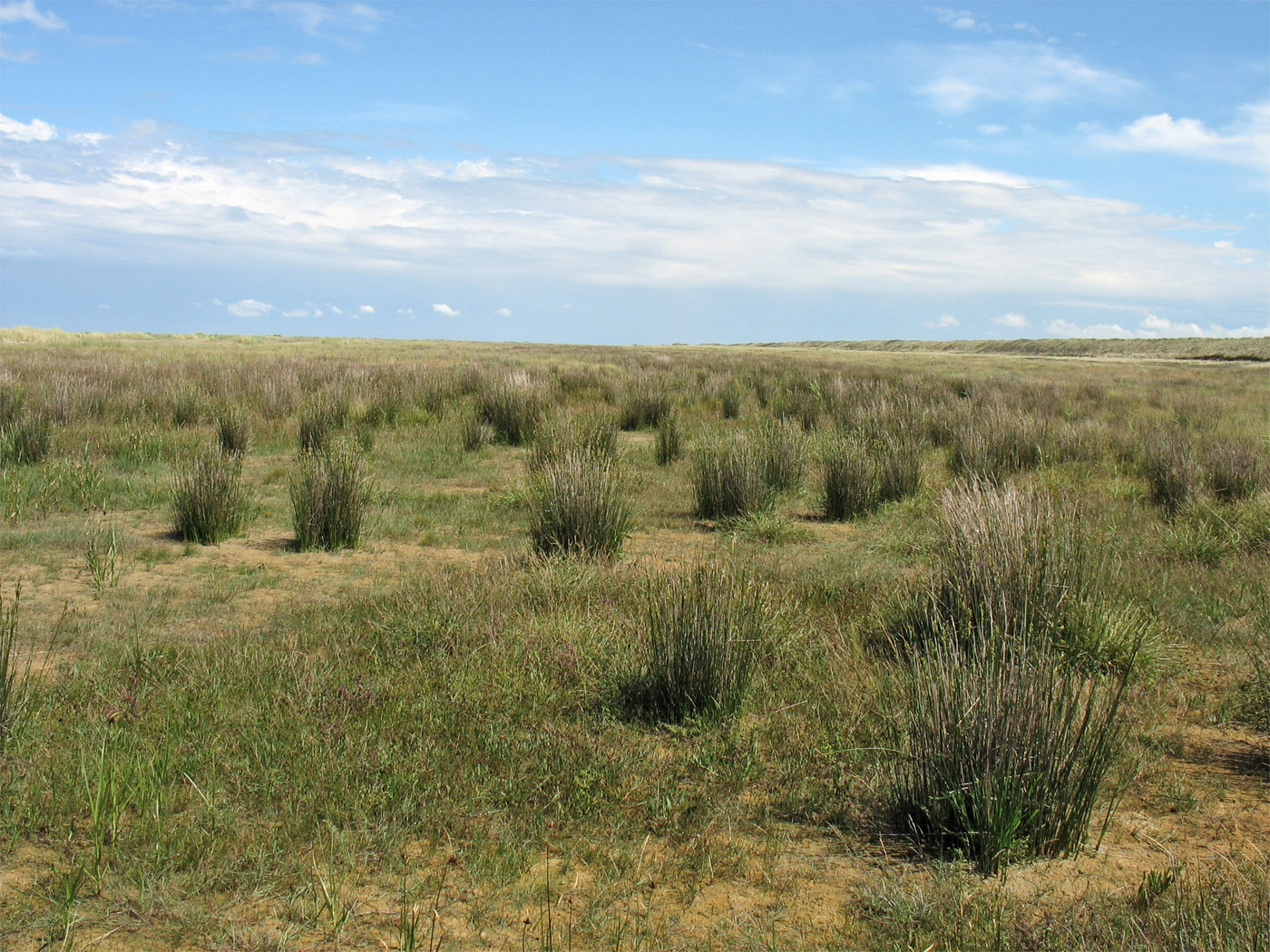 Схирмонниког (Schiermonnikoog), изображение ландшафта.