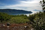 Image of landscape
