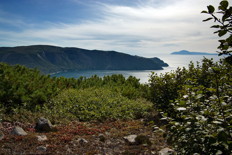 Бухта Светлая, image of landscape/habitat.