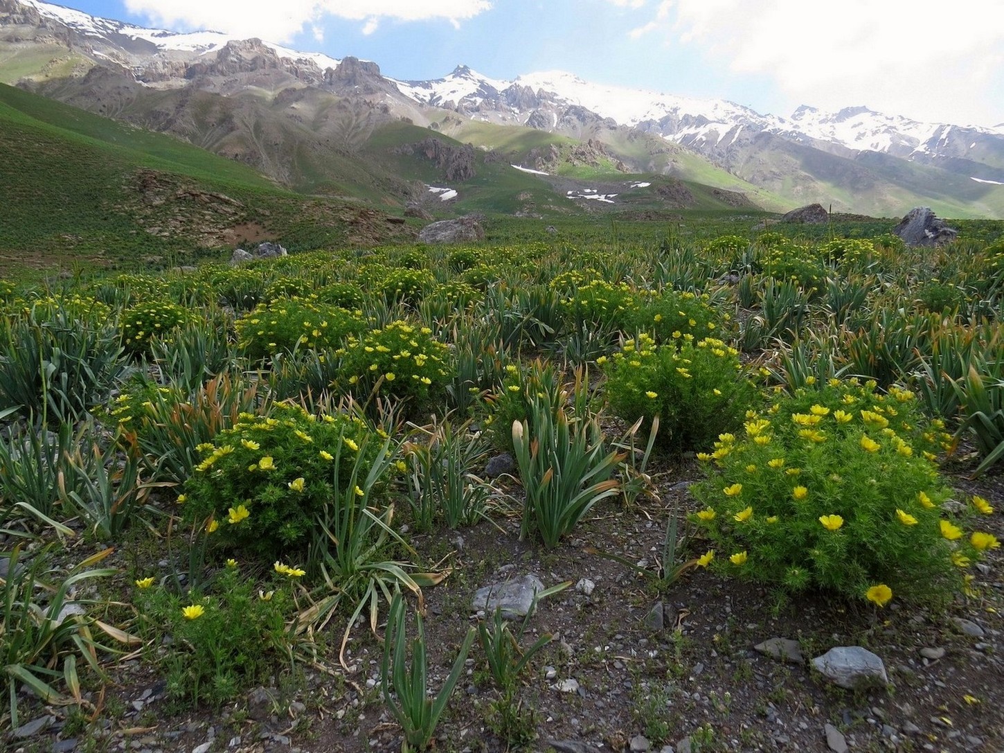 Верховья Зидды, image of landscape/habitat.