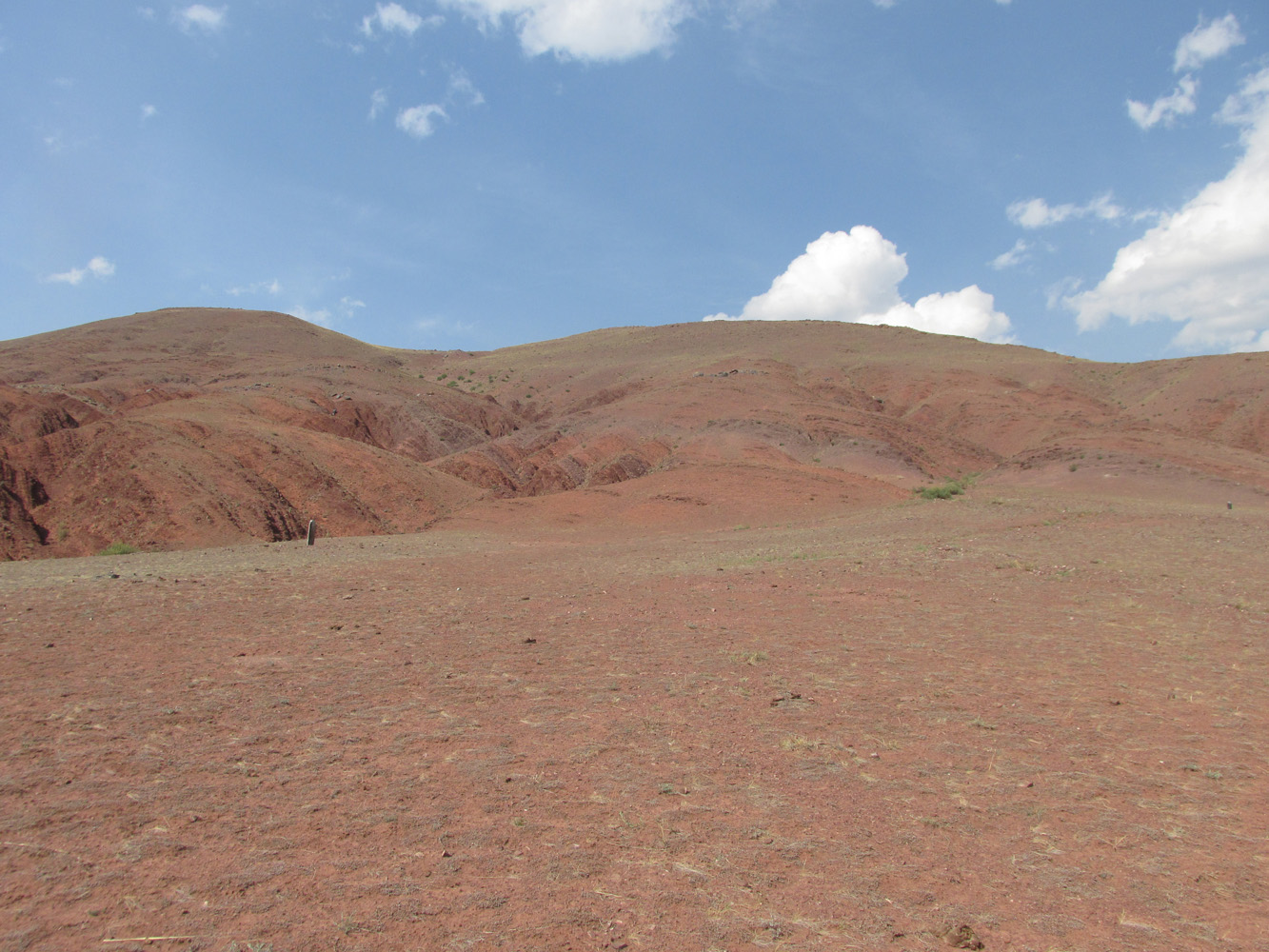 Изгиб реки Кызылшин, image of landscape/habitat.