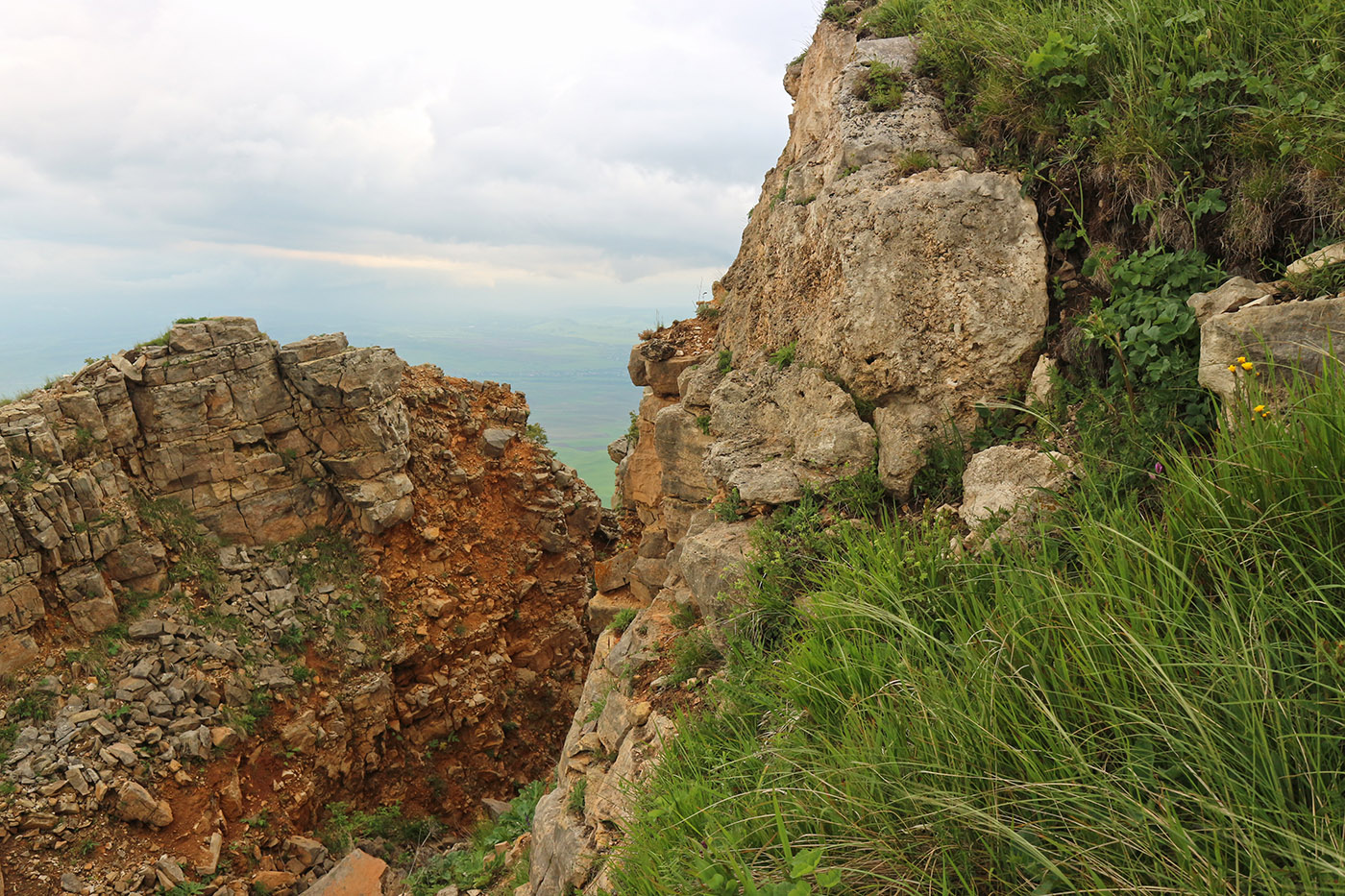 Джангур, image of landscape/habitat.