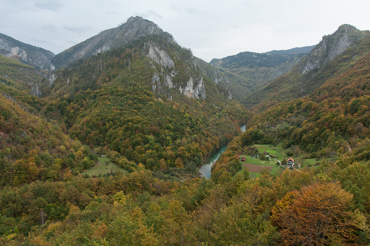 Окрестности моста Джурджевича, image of landscape/habitat.