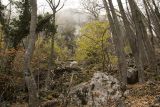 Image of landscape