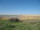 Image of landscape