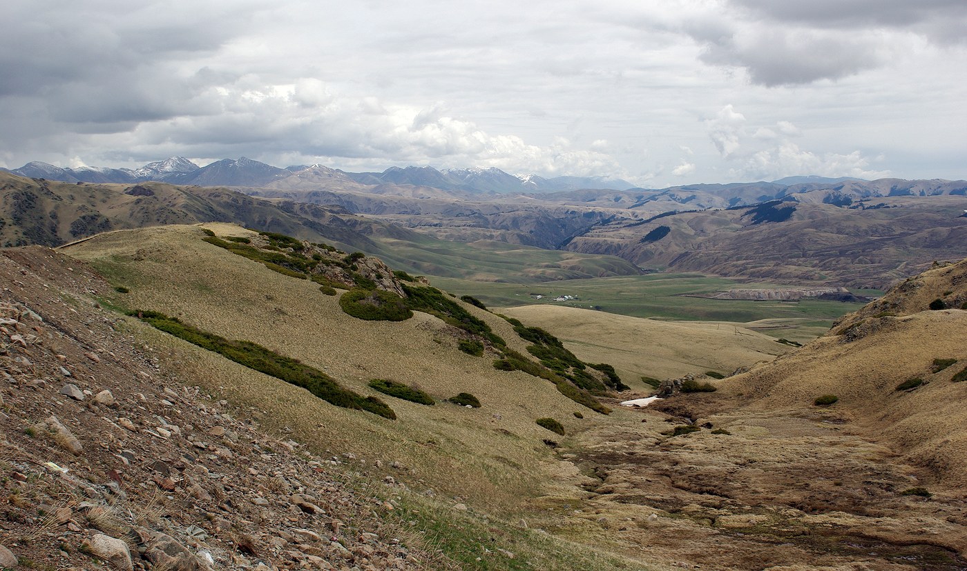 Ойкарагай, image of landscape/habitat.