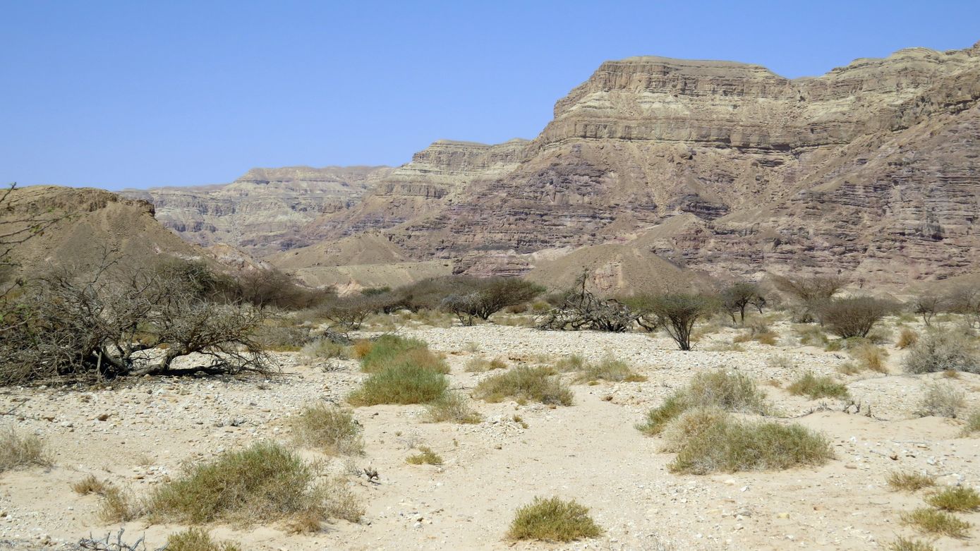 Эмек Арава, image of landscape/habitat.