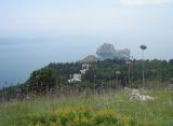 Image of landscape