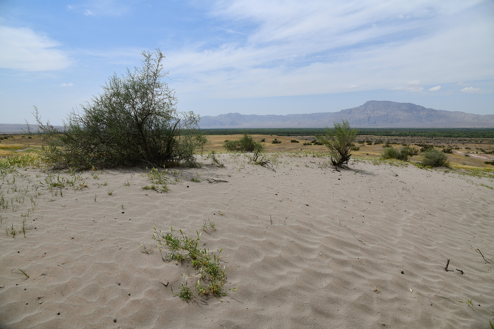 Пески Кашкакум, image of landscape/habitat.