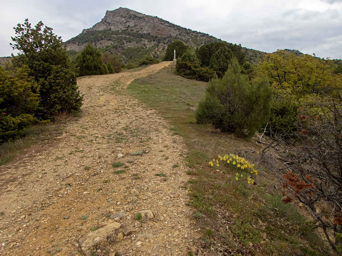 Хребет Токлук-Сырт, image of landscape/habitat.