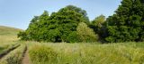 Килькан, image of landscape/habitat.
